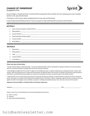 Blank Sprint Release PDF Template